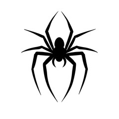 spider isolated