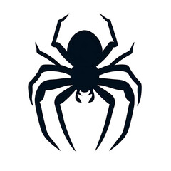 spider isolated