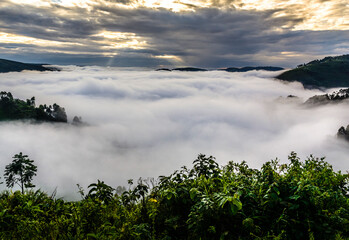 Morgennebel in den Bergen am Bunyonyi See, Distrikt Kabale, Uganda, Afrika