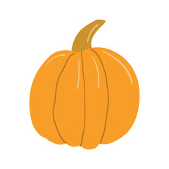 Pumpkin hand drawn illustration. Cartoon style flat design, isolated vector. Summer, autumn print element, farming, gardening, harvest, agriculture, healthy food, vegetarian diet, seasonal ingredient