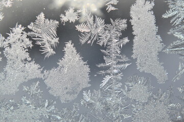 Frost in a window, Sainte-Apolline, Québec, Canada