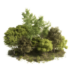 Small grove of green trees, transparent background, made with Generative AI