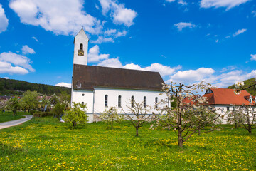 Blossoming cherry trees in front of the church of Wannbach- Germany in Franconian Switzerland