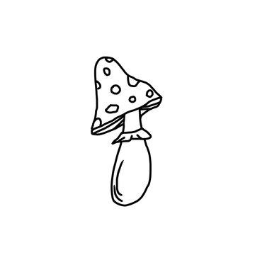 recommend clip art: Simple illustration of fly agaric mushroom isolated on white, doodle style flat drawing for cards, sites, coloring books, web design, clothing prints