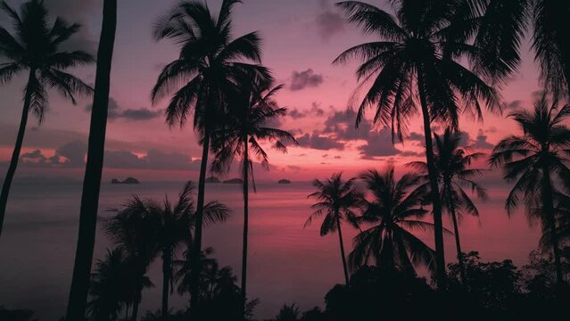 Red pink sunset on sea with small islands, silhouettes of palm trees on the beach. Cinematic aerial video of paradise tropical beach at pink sunset, beautiful tropical landscape