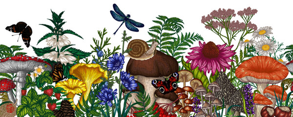 Seamless horizontal summer pattern with mushrooms, plants, berries. Fly agaric, chanterelles, white mushroom, mushrooms, boletus, morels, russula, snails, strawberries, ferns, butterflies, dragonflies