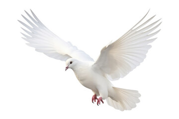 Fototapeta na wymiar A white dove in flight isolated on a white background Generative AI