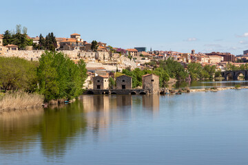 Fototapeta na wymiar Vista panorámica de Zamora a orillas del río Duero, se pueden distinguir los tres molinos de agua y al fondo, el conjunto monumental. Castilla y León, España.