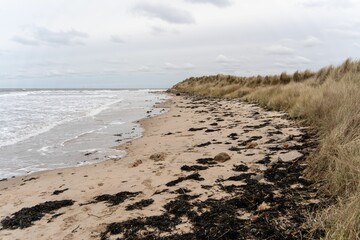 View of the dunes, beach and sea in winter, at Low Hauxley, near Amble, Northumberland, UK.