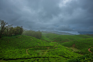 Obraz premium green field and clouds