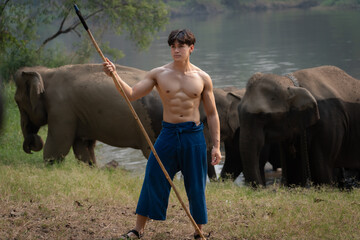Young handsome mahout with a group of elephants takes a bath happily in the large ponds of natural...