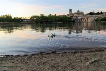 Panorámica del conjunto monumental de la ciudad de Zamora desde la ribera del río Duero. En la...