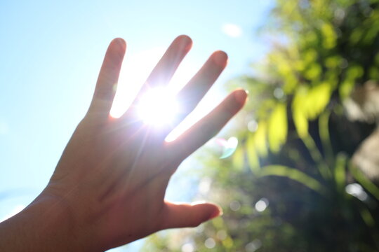 The sun shines through the gaps in the hands