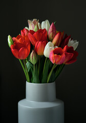 Red and white tulips bouquet