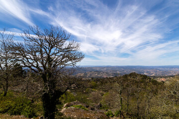 Panorámica de la llanura carrazedense desde el mirador de la Capilla de la Virgen de Gracia. Carrazeda de Ansiaes, Portugal.