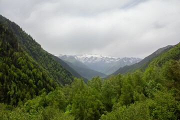 Fototapeta na wymiar Beautiful shot of a valley adorned with lush green trees against the cloudy sky
