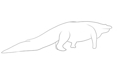 ワニ　白　線画　イラスト