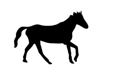 馬　シルエット　イラスト