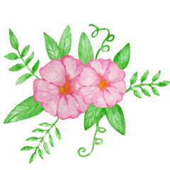 Fototapeta premium Pink flowers watercolor painting on transparent background.Element file png . 