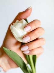 female hands holding a tulip