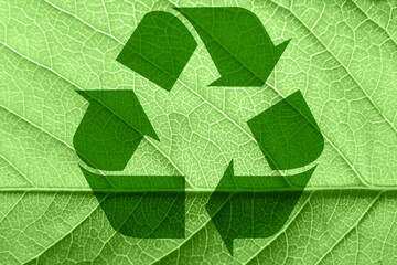 Recycling symbol on a green leaf