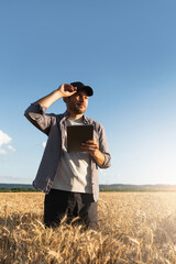 Farmer examines the field of cereals and sends data to the cloud from the tablet. Smart farming and...