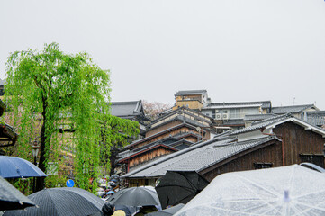 雨の日　京都