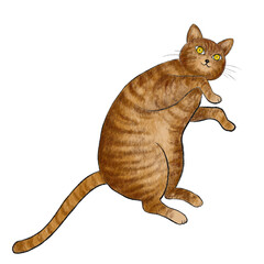 横になった茶虎のイラスト、ゴロゴロしている茶虎のイラスト、寝そべるチャトラのイラスト、茶虎のイラスト