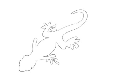 トカゲ　ヤモリ　爬虫類　白　イラスト