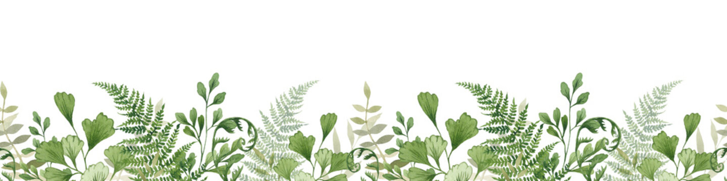 Watercolor seamless border with forest greenery. Fern, greenery leaves and twigs. Hand drawn illustration isolated on white background.
