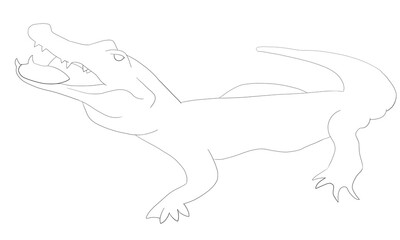 ワニ　白　線画　イラスト