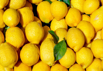 Limoni 2