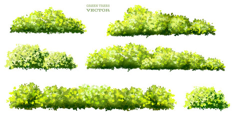 set of green grass, Vector watercolor of tree side view isolated on white background for landscape and architecture drawing, elements for environment and garden, painting botanical for section 
