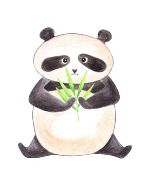 Watercolor hand drawn cute funny baby panda sitting and holding bamboo cane plant. Aquarelle web design element isolated on white background.