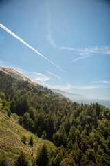 Beautiful landscape view with high and green trees against a cloudy sky in Big Sur, CA