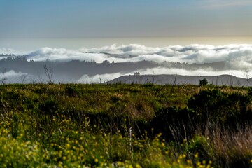 Mountain peak with a view of the surrounding clouds below them in Woodside California