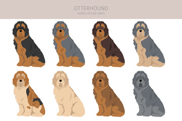 Otterhound clipart. Different poses, coat colors set
