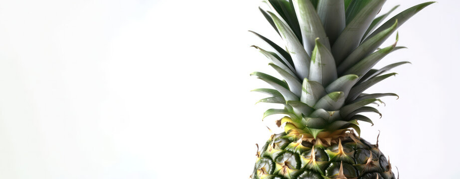 pineapple isolated on white background and free space . generative AI