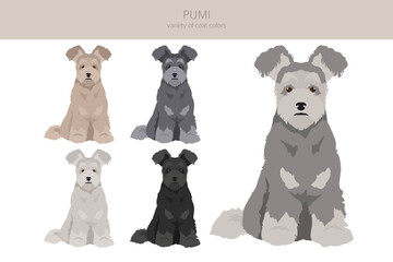 Pumi clipart. Different poses, coat colors set