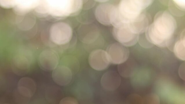 Blur Bokeh Light Background .Summer Concept Of Abstract Nature Blurred Background. Sun Breaking Through Leaves Blurred Bokeh Background.