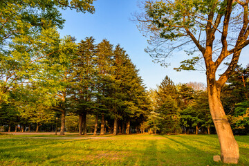 新緑の仙台　広瀬川を歩く
