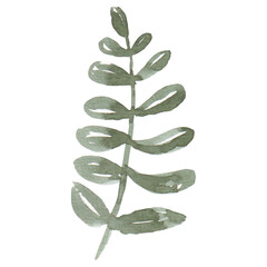 Stylish watercolor green leaf on a transparent background - Watercolor Clipart