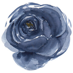 Stylish blue watercolor flower on a transparent background - Watercolor Clipart
