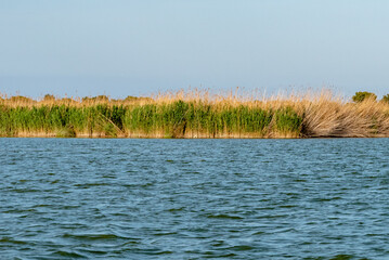 Albufera, Valencia