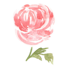 Stylish pink watercolor flower on a transparent background - Watercolor Clipart