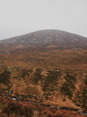 Majestic mountain shrouded in a thick fog on a chilly winter day, with lush grass and bushes