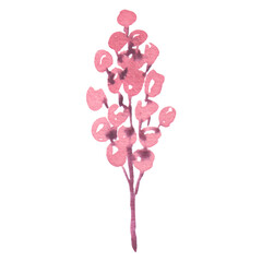 Stylish pink watercolor flower on a transparent background - Watercolor Clipart