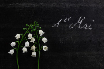 muguet du 1 er mai