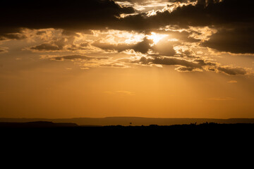 Sunrise in the savannah, Masai Mara National Park, during the great migration of animals.