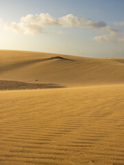 The warm light of the sunset in the desert